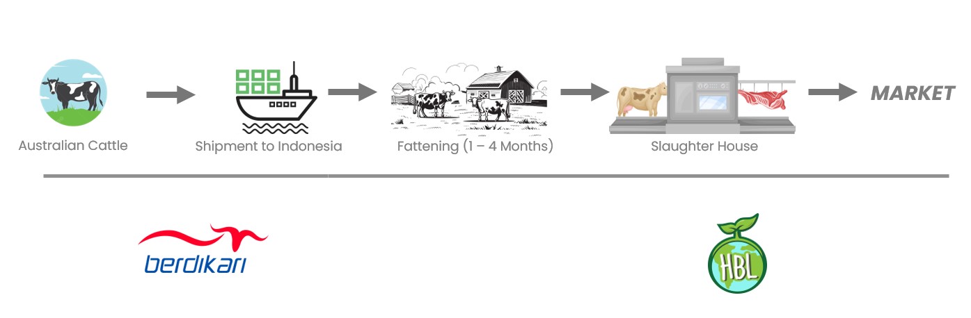 livecattle_diagram